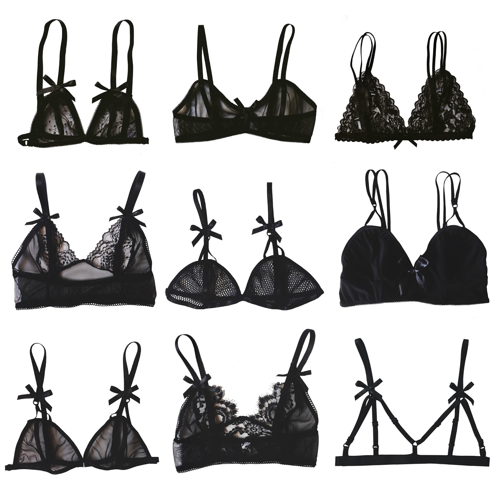 Dreams and Diaries Black Beauty