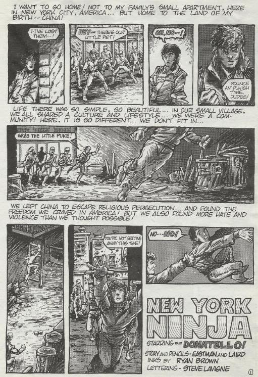 TMNT Entity New York Ninja