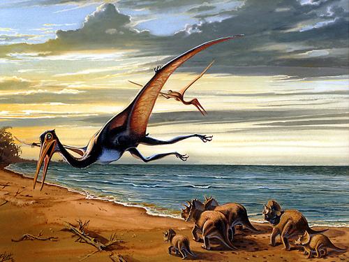 Novo pterossauro encontrado no Canadá chegava a ter 10 metros de