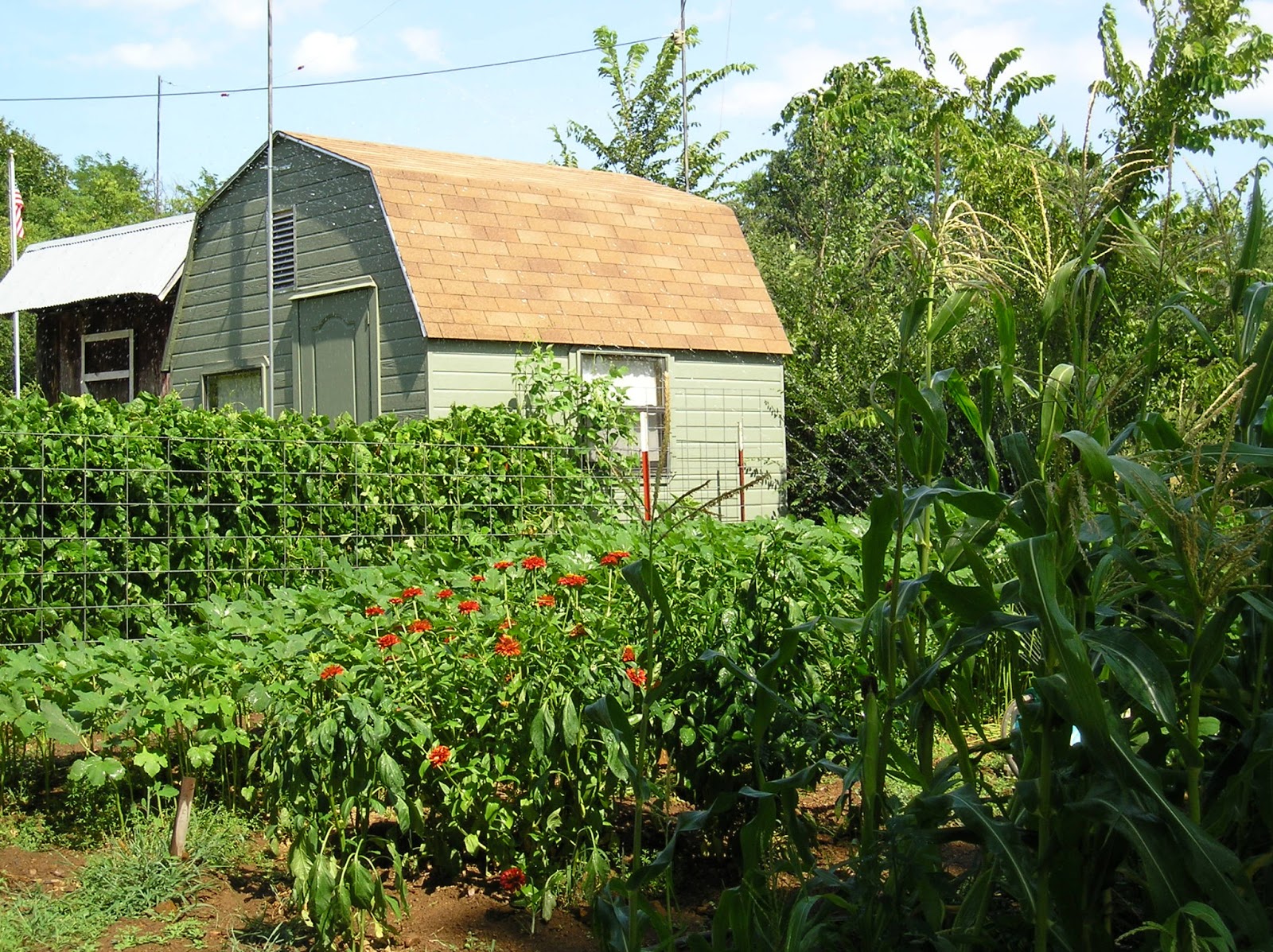 Thoughts from Frank and Fern How Does the Garden Grow?