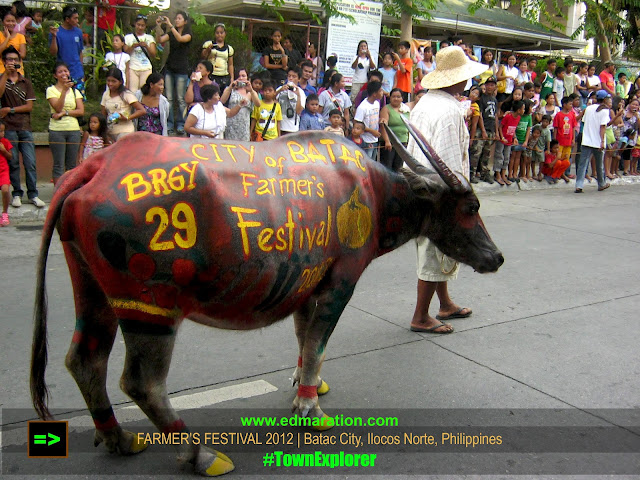 Batac City, Ilocos Norte | A Parade of Colorfully Painted Carabaos