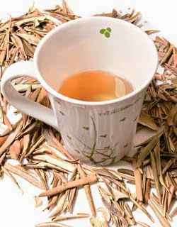 Chá de Oliveira Receita do Chá de Oliveira