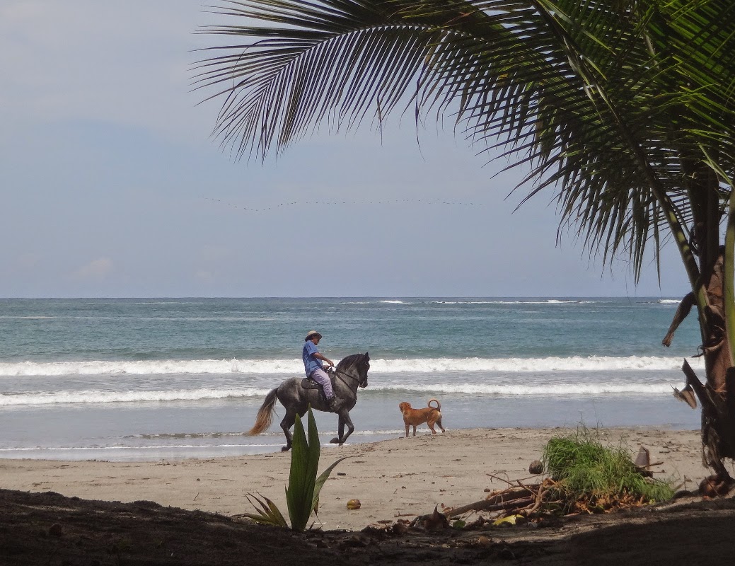cowboy playing with a dog at samara