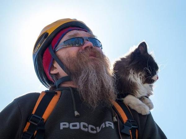 Велосипедист Володя и его кот Морда Велосипедист Володя и его кот Морда