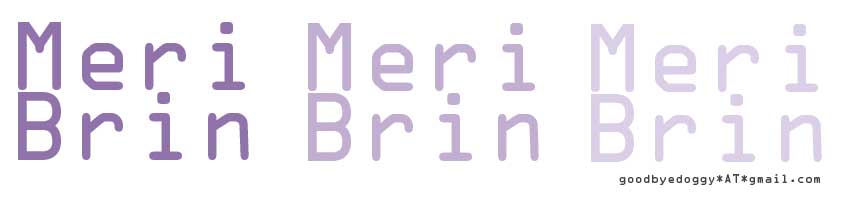 Meri Brin: Mostly Art