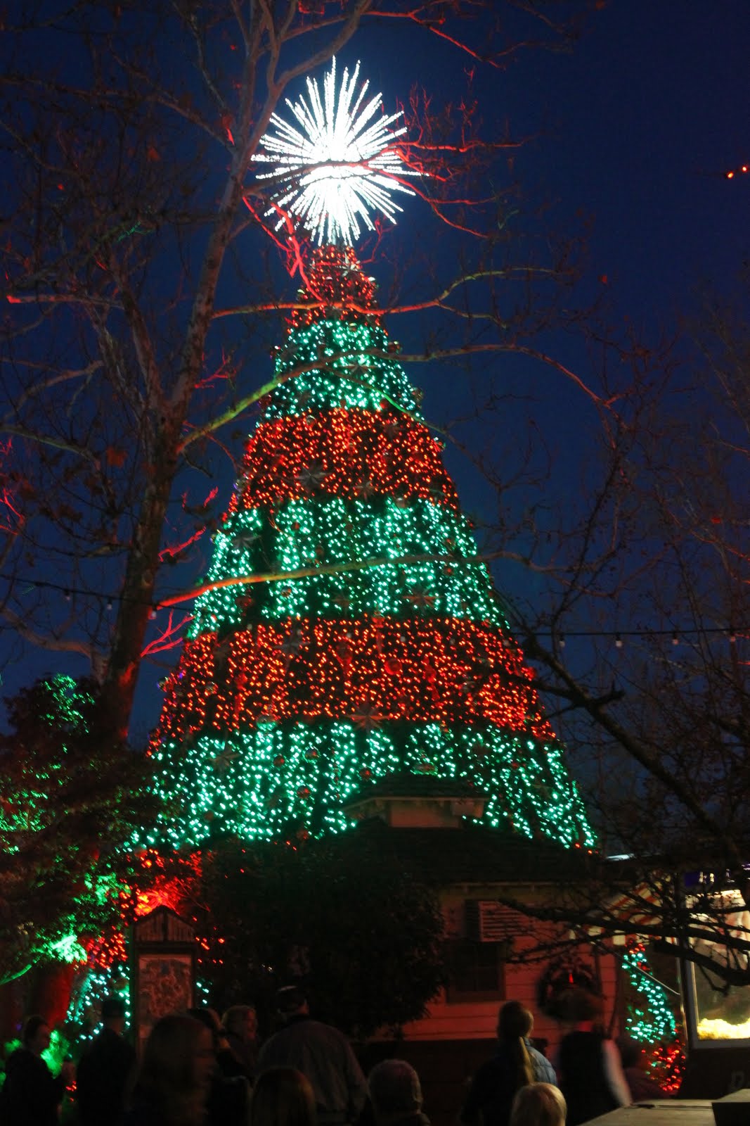 Hanging With The Hoofs Silver Dollar City Christmas Lights