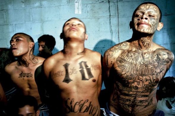 tatuajes tatuajes
