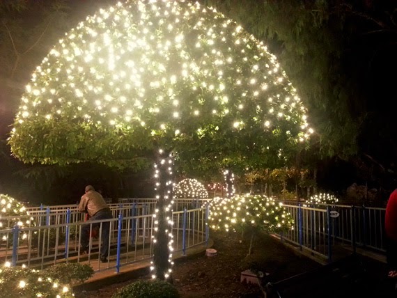 Holiday Lights At Gilroy Gardens Gilroy Ca