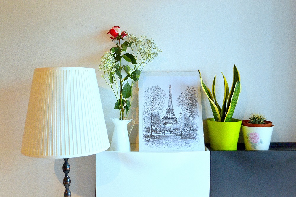 THE PEPPERMINT LAND Green corner in my house