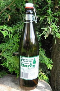 bi%25C3%25A8re+d%2527%25C3%25A9pinette+Marco.JPG