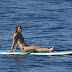 42 PICTURES: Alex Morgan Paddle Boards In "Bikini" In Hawaii