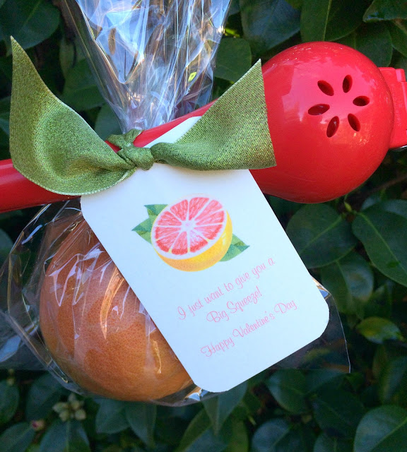 Grapefruit Citrus Valentine's Day Gifts | Easy and Pretty DIY with printable tags, I love giving healthy food as Valentines | www.jacolynmurphy.com