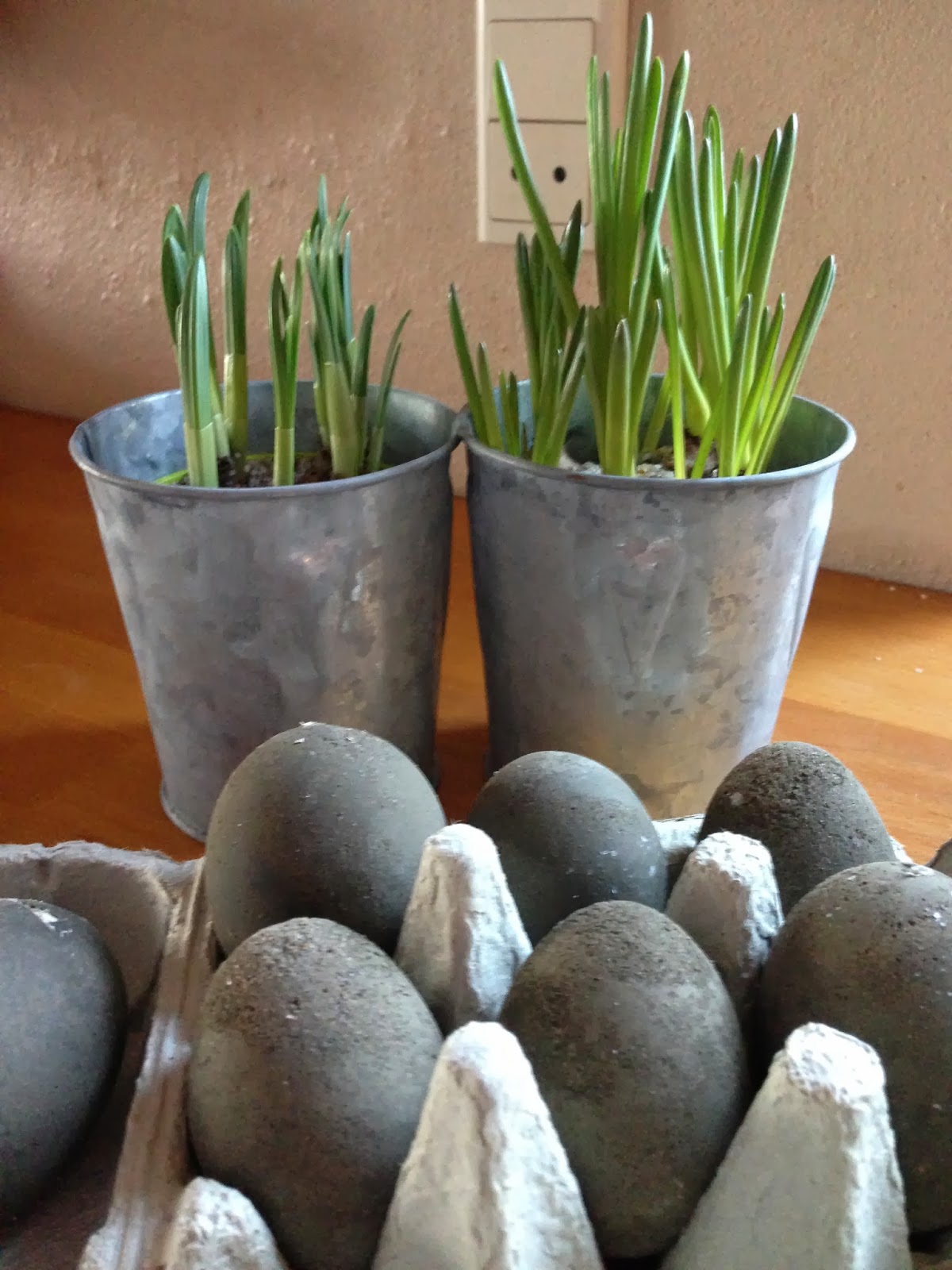 Fru pedersens have: januar 2014