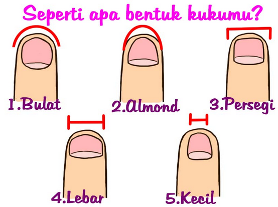 Ramalan Cinta Dilihat Dari Bentuk Kuku Ramalan Cinta Dilihat Dari Bentuk Kuku
