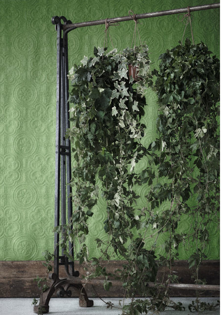 Johanna design Grön rumsavdelare Johanna design Grön rumsavdelare