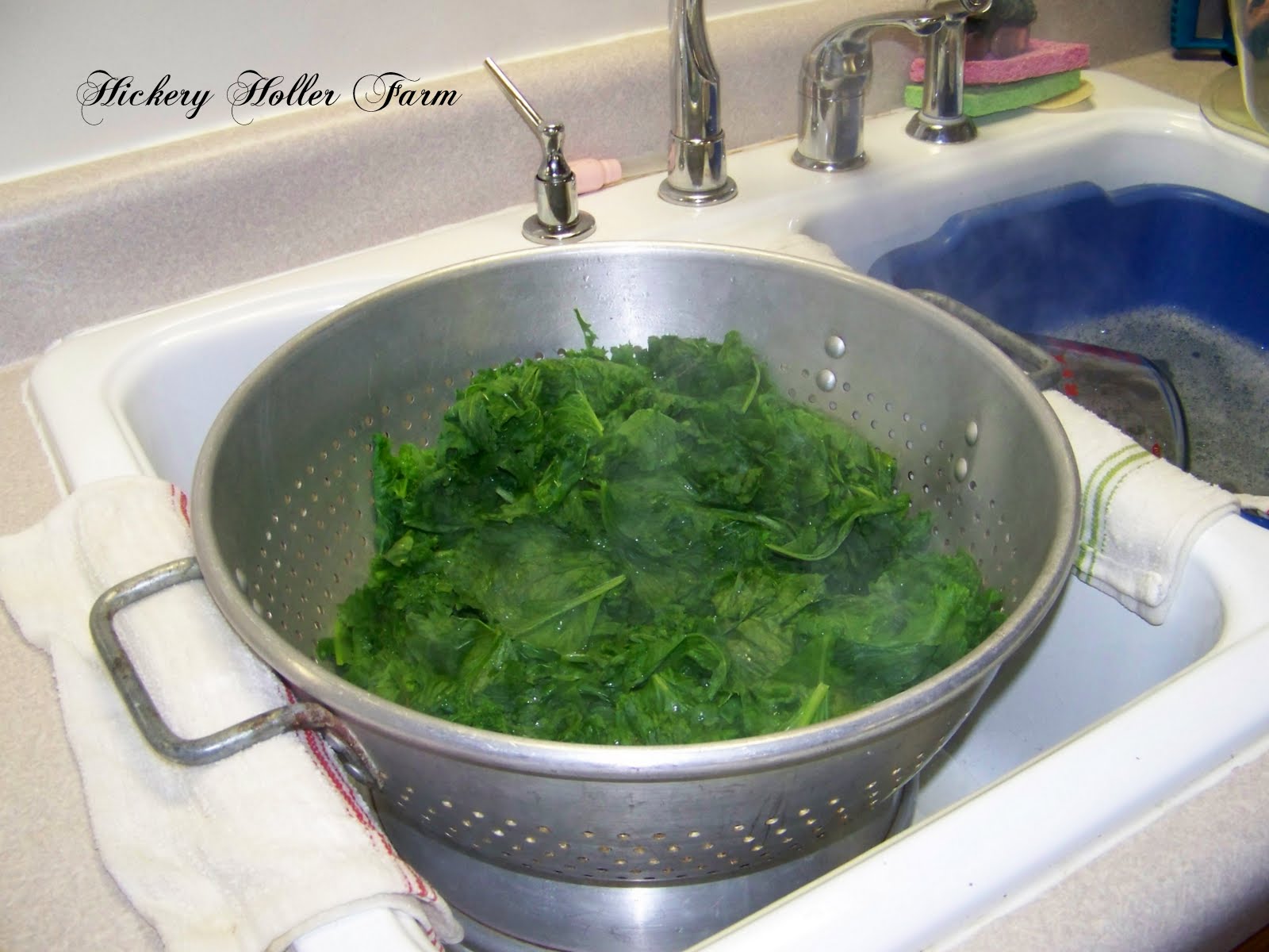 Hickery Holler Farm Canning Greens