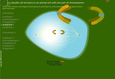 download catharsis et transformation sociale dans la th?eorie