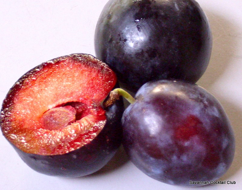 the earth of india all about plum in india the earth of india all about plum in india