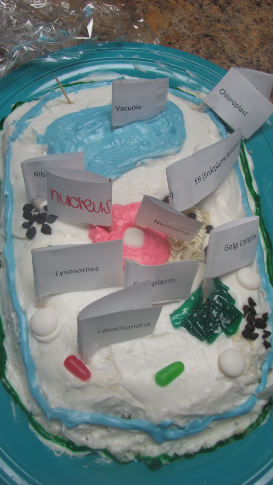 Apedaile 6: Edible Plant Cell