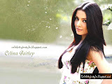 Celina Jaitley