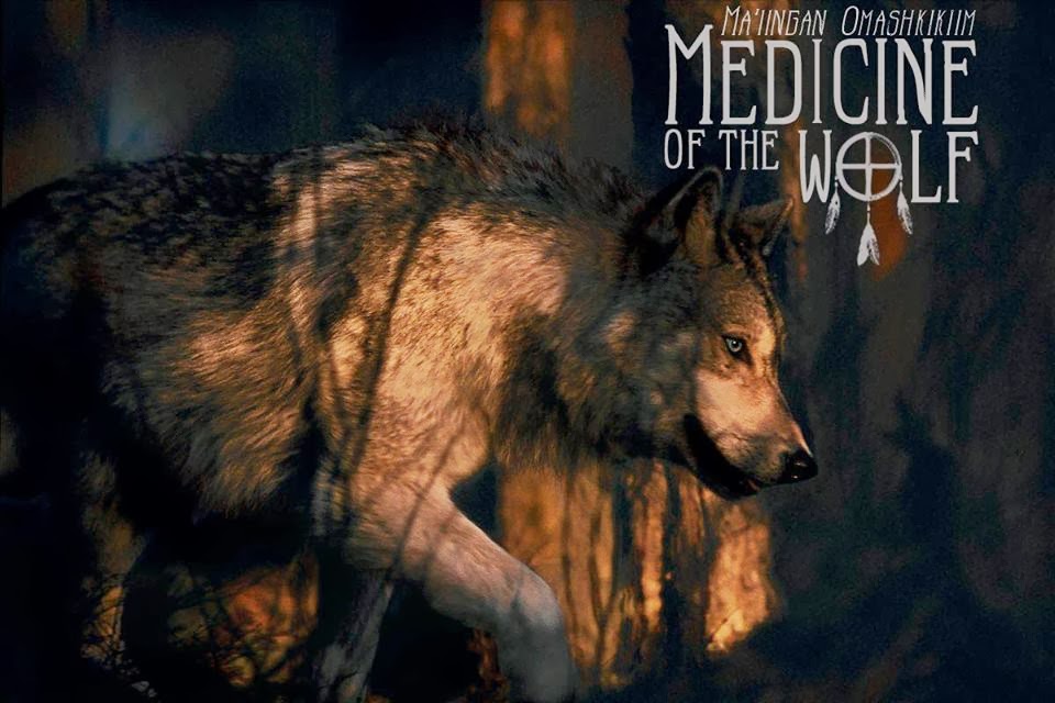 White Wolf “Medicine of the Wolf” Wins Annual Filmmaking Grant (VIDEO)