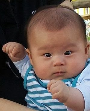 foto bayi lucu