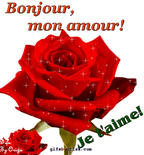 Gifs by Oriza - Poèmes, Messages: Bonjour, avec des roses...