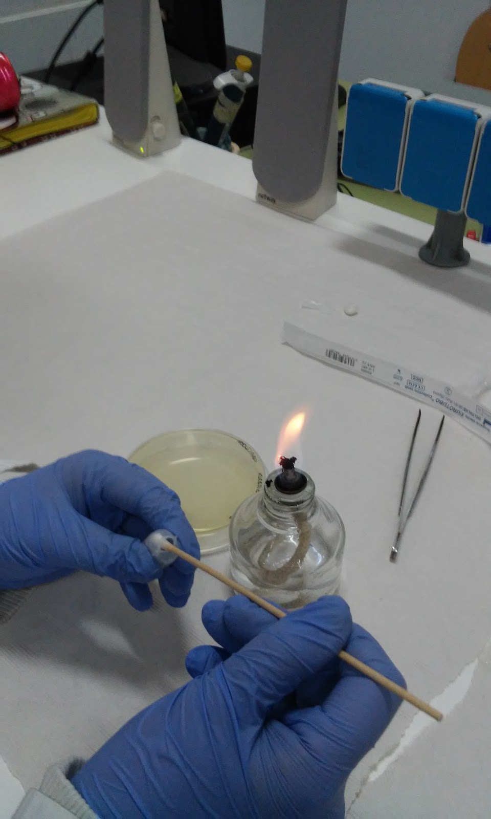 Microbiología MÉTODO KIRBY BAUER