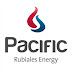 Rubiales Gains in After CGX Purchase for Guyana Exploration