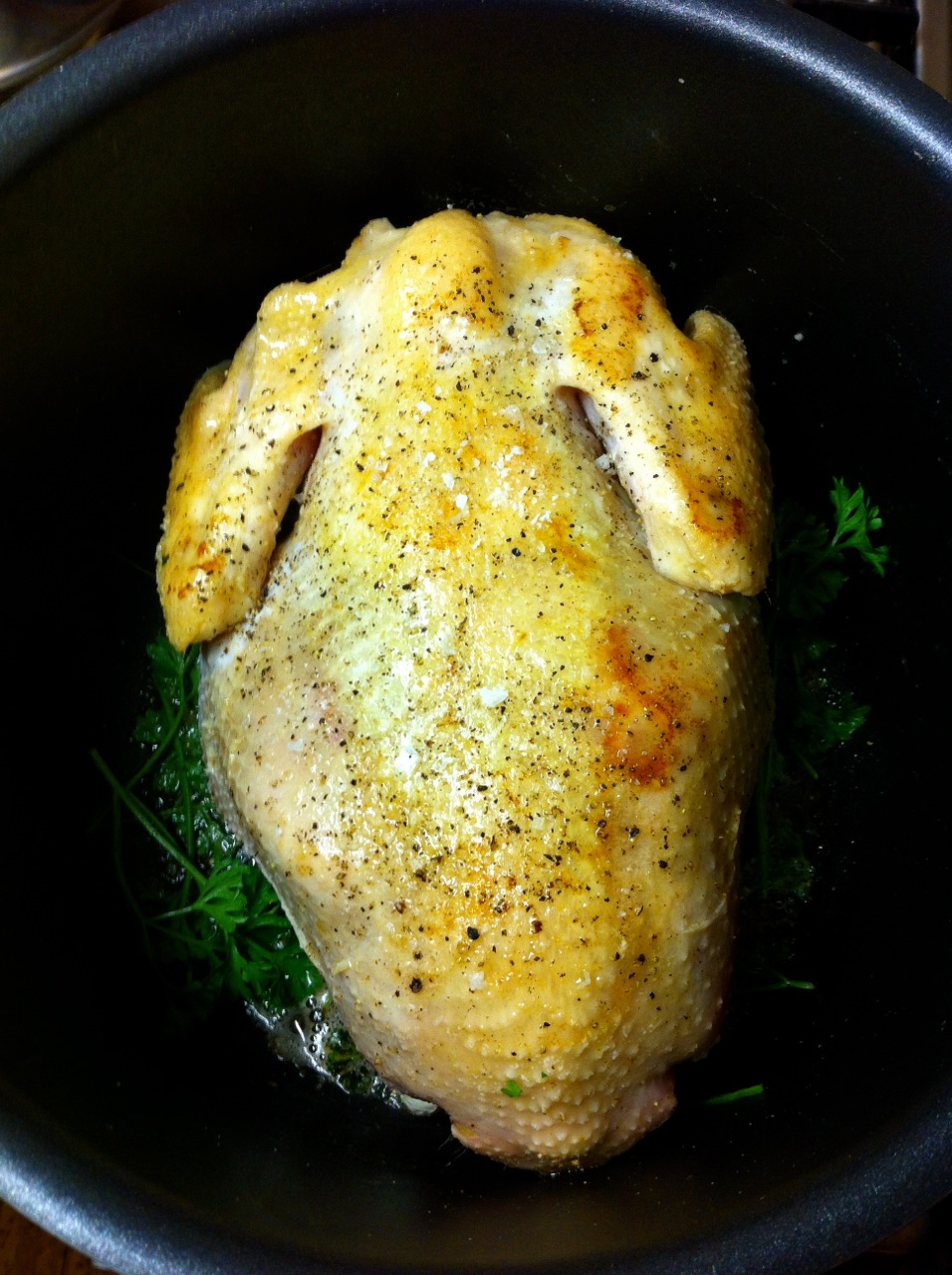 Langtidsstegt Kylling Med Persille I Ovn at Terri Cole blog