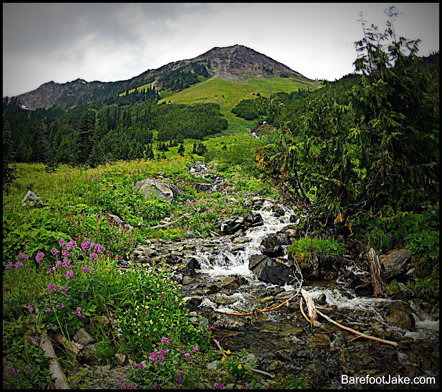 cameron creek olympic