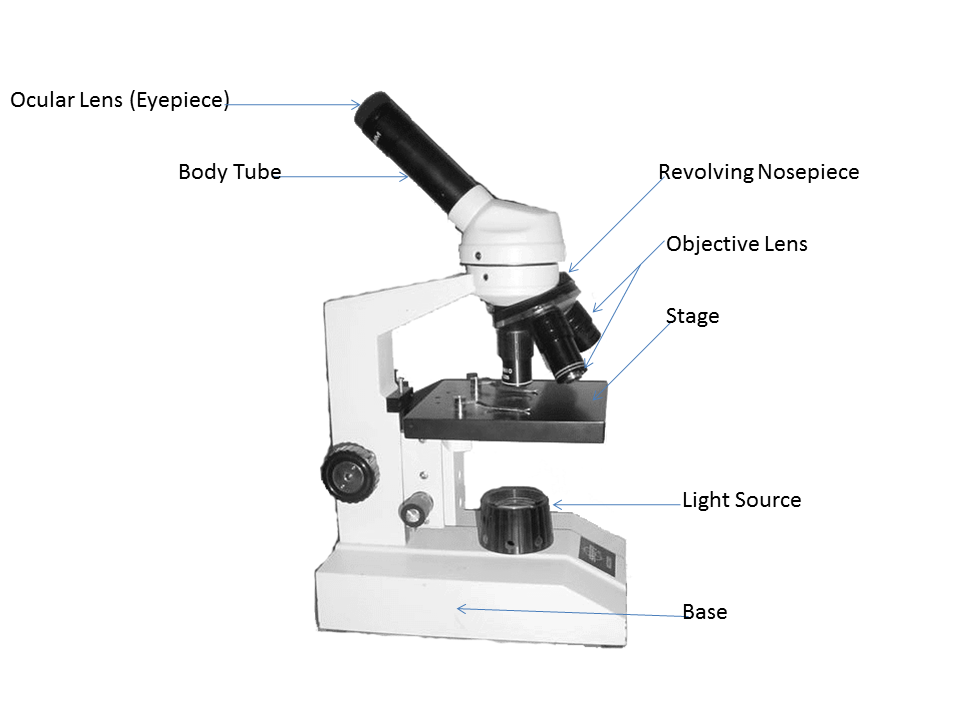 Mrs. Conner's Science Place Microscope Parts