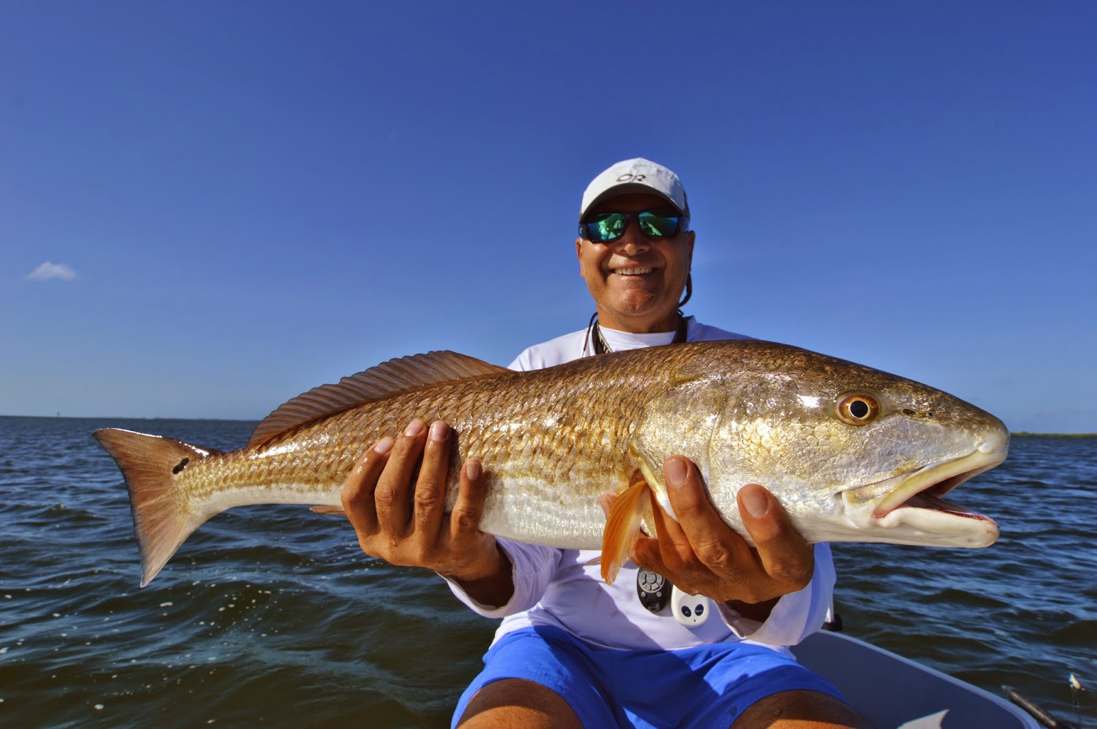 Beautiful Pine Island Bull Red Redfish on Fly