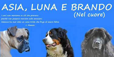 Boxer Bovaro Bernese Terranova Aforismi E Frasi Celebri Sui Cani