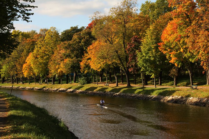 DJURGÅRDEN