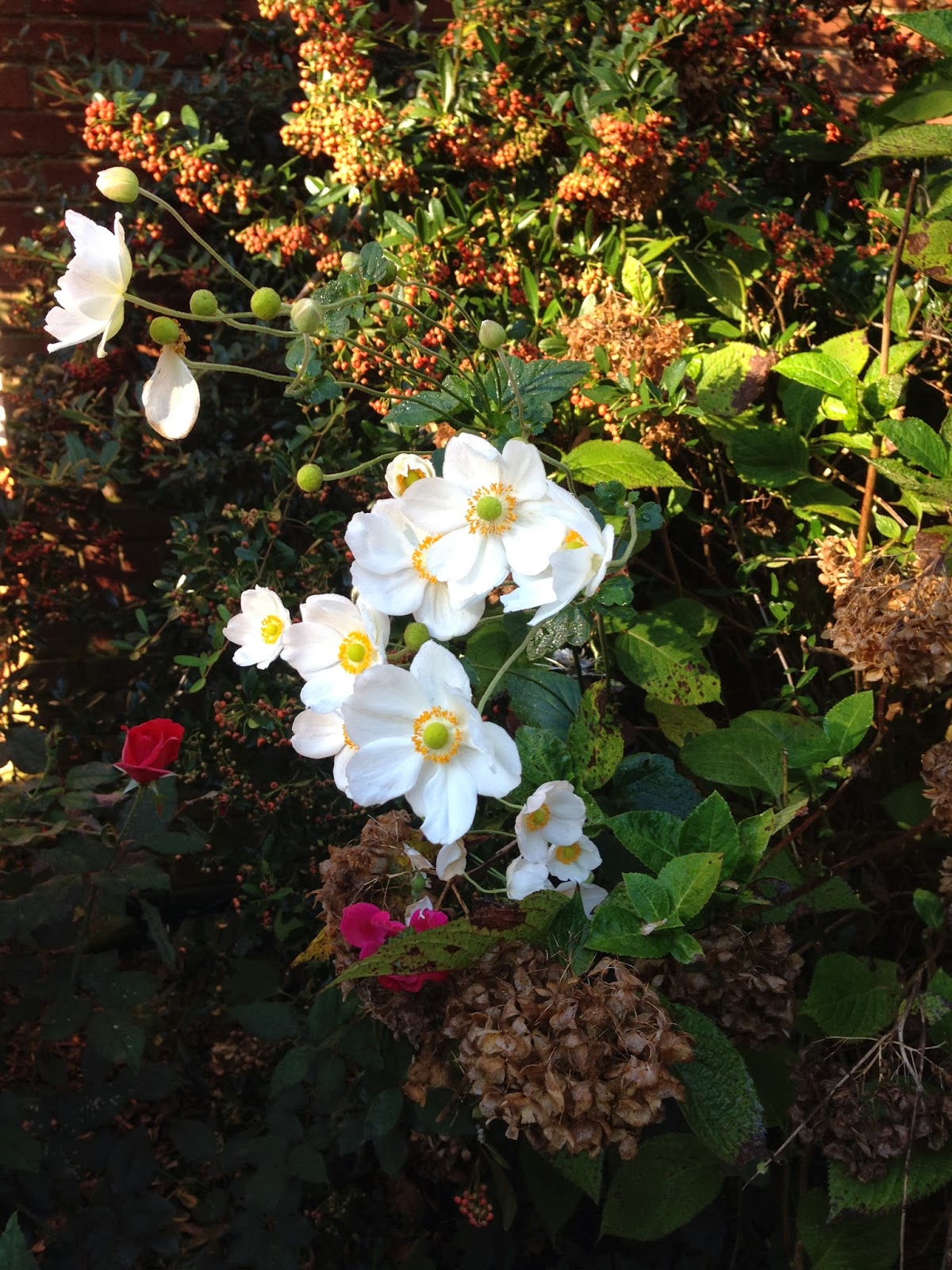 The Notable Nook Flowers in October.