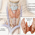 HOMEOPATHY TREATMENT FOR HYPOTHYROID