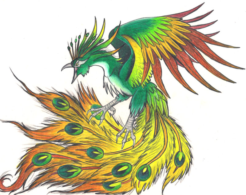 forasteiro tattoo tattoo pavÃo