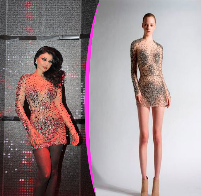Haifa Zuhair Murad