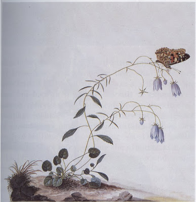 Botanist I & II