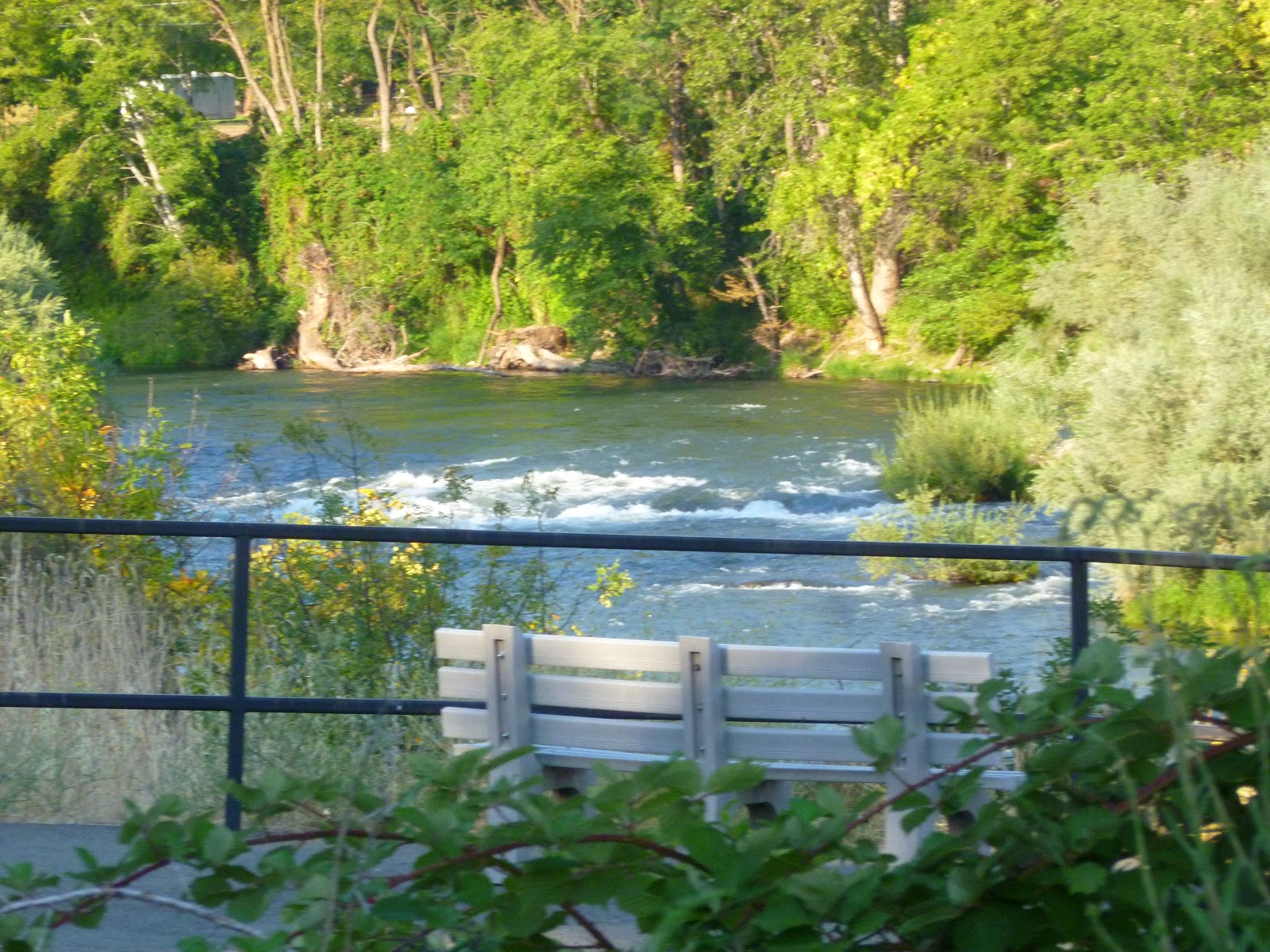 On the Road to Abigail's Fun Facts Gold Hill, Oregon