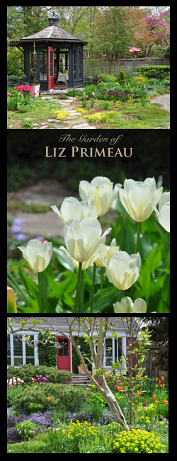 The Beautiful Garden of Liz Primeau