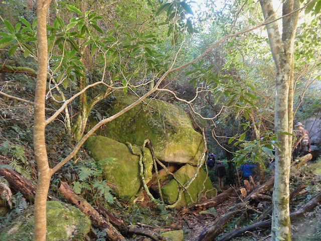 Snap Happy Birding: Ferntree Gully Reserve - Part One
