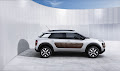 C4 Cactus