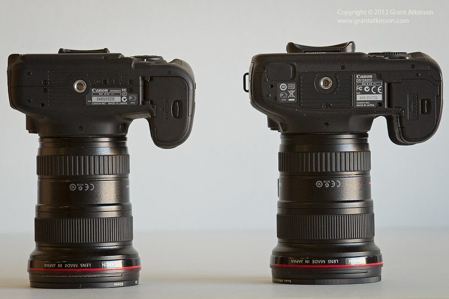 Canon 60D Vs 7D