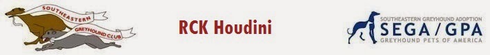 RCK Houdini