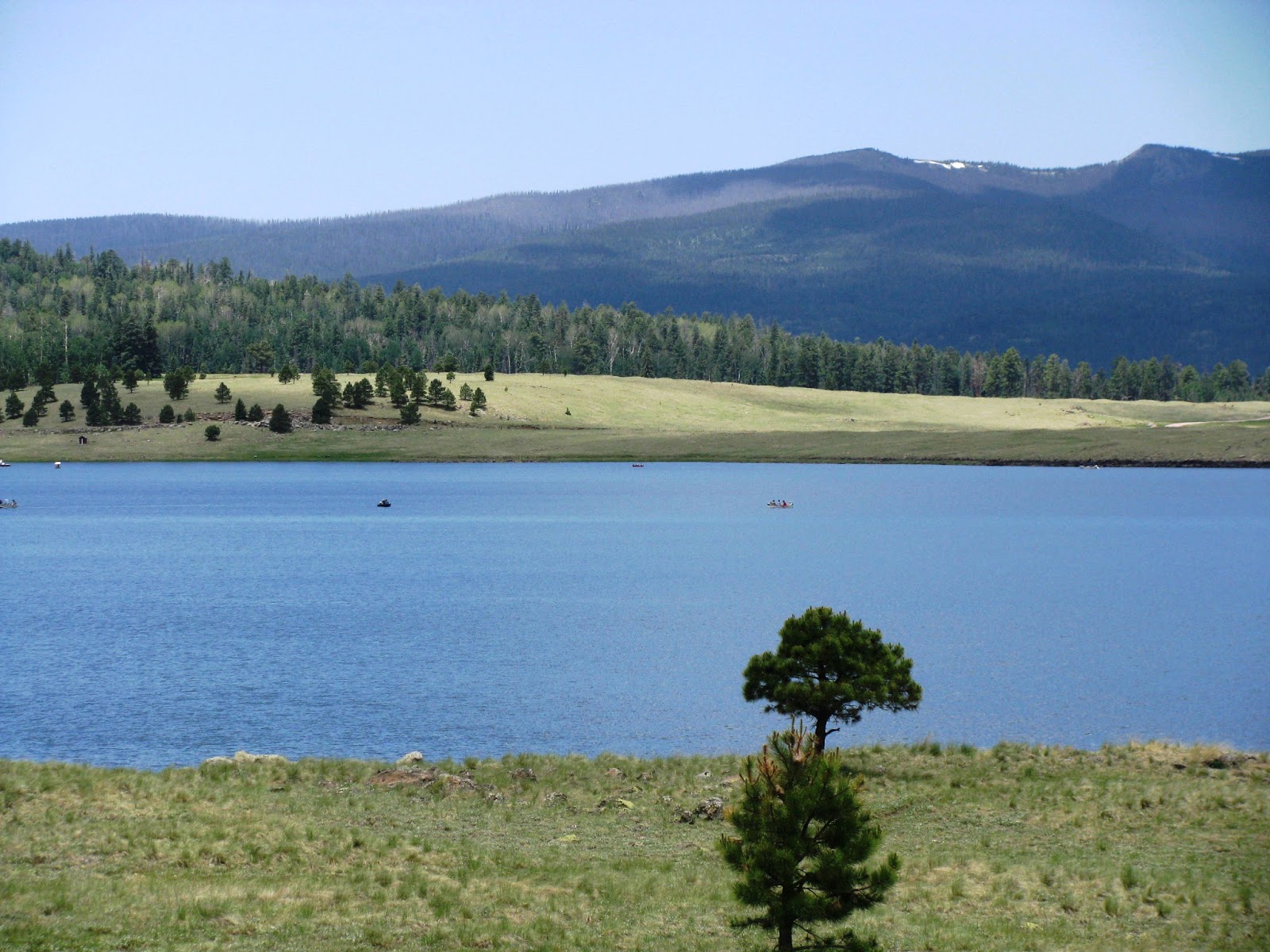 Finding Arizona White Mountain Escape Big Lake Recreational Area