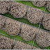 <b>Chocolate Sesame Cookies</b> <i>...inspired by Just Desserts for Food 'n Flix</i>