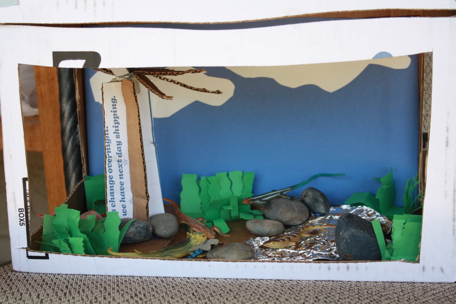 The Allans Lizard Habitat