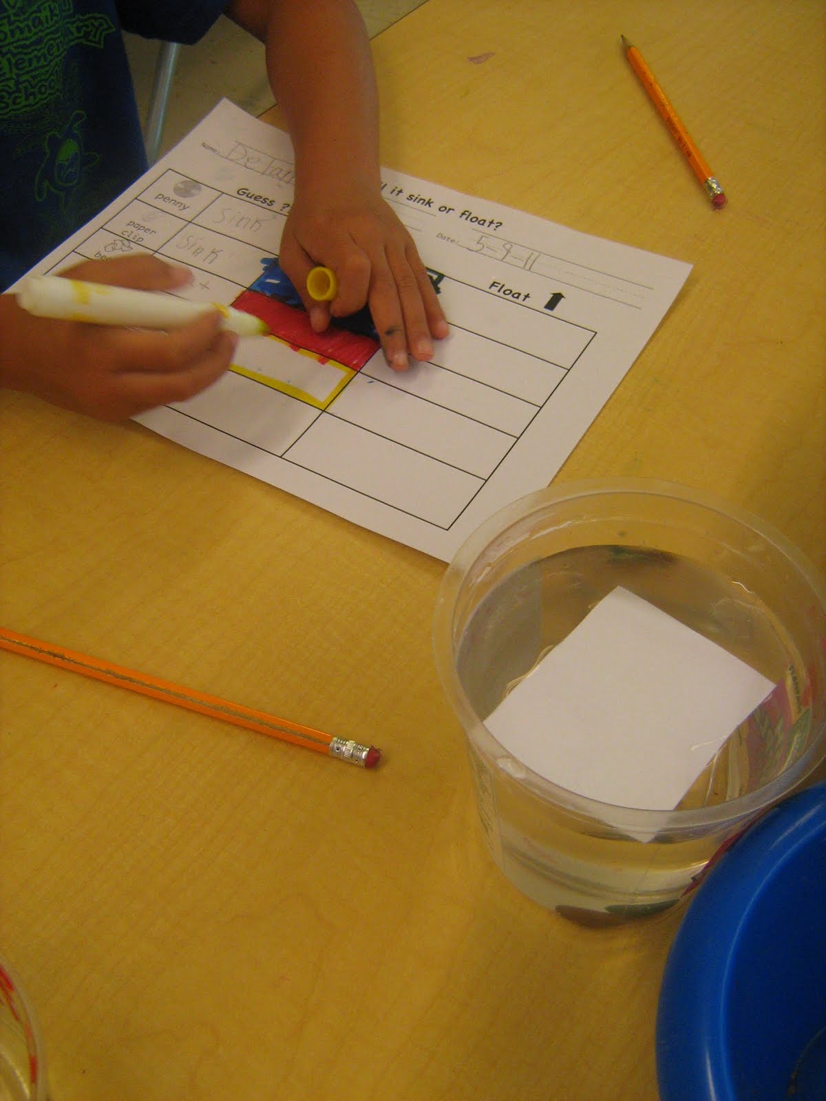 Beanie's Blog ) Does it SINK or FLOAT? Let's find out....